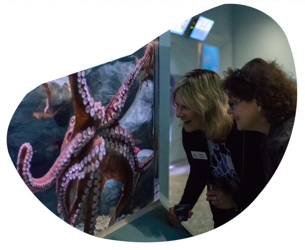 Two women smile while looking at an octopus in the Point Defiance Aquarium.