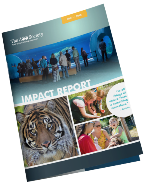 Cover of Impact Report from The Zoo Society