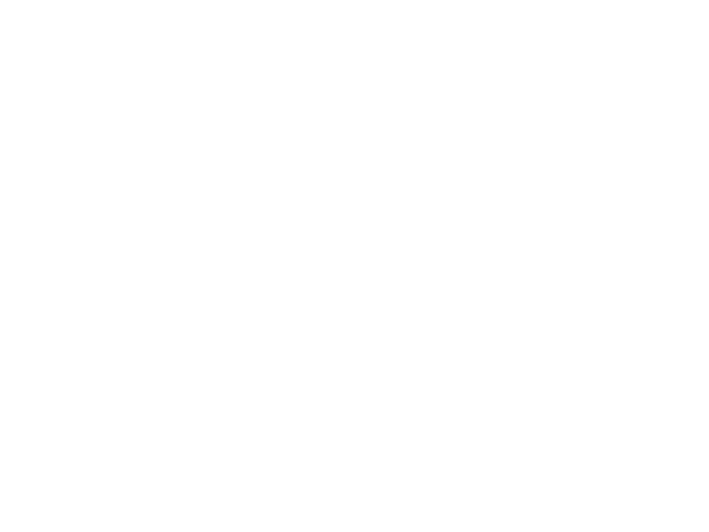 The Zoo Society