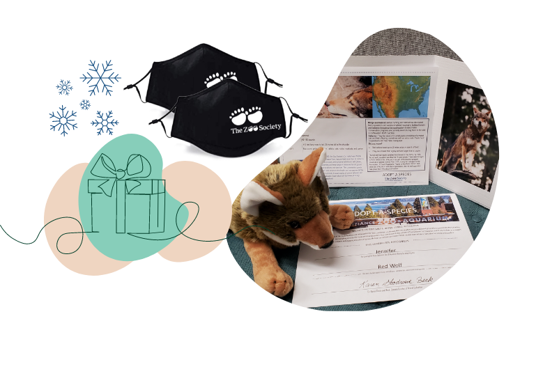 Two facemasks, gift package decorative image, and a picture of the plush adoption set