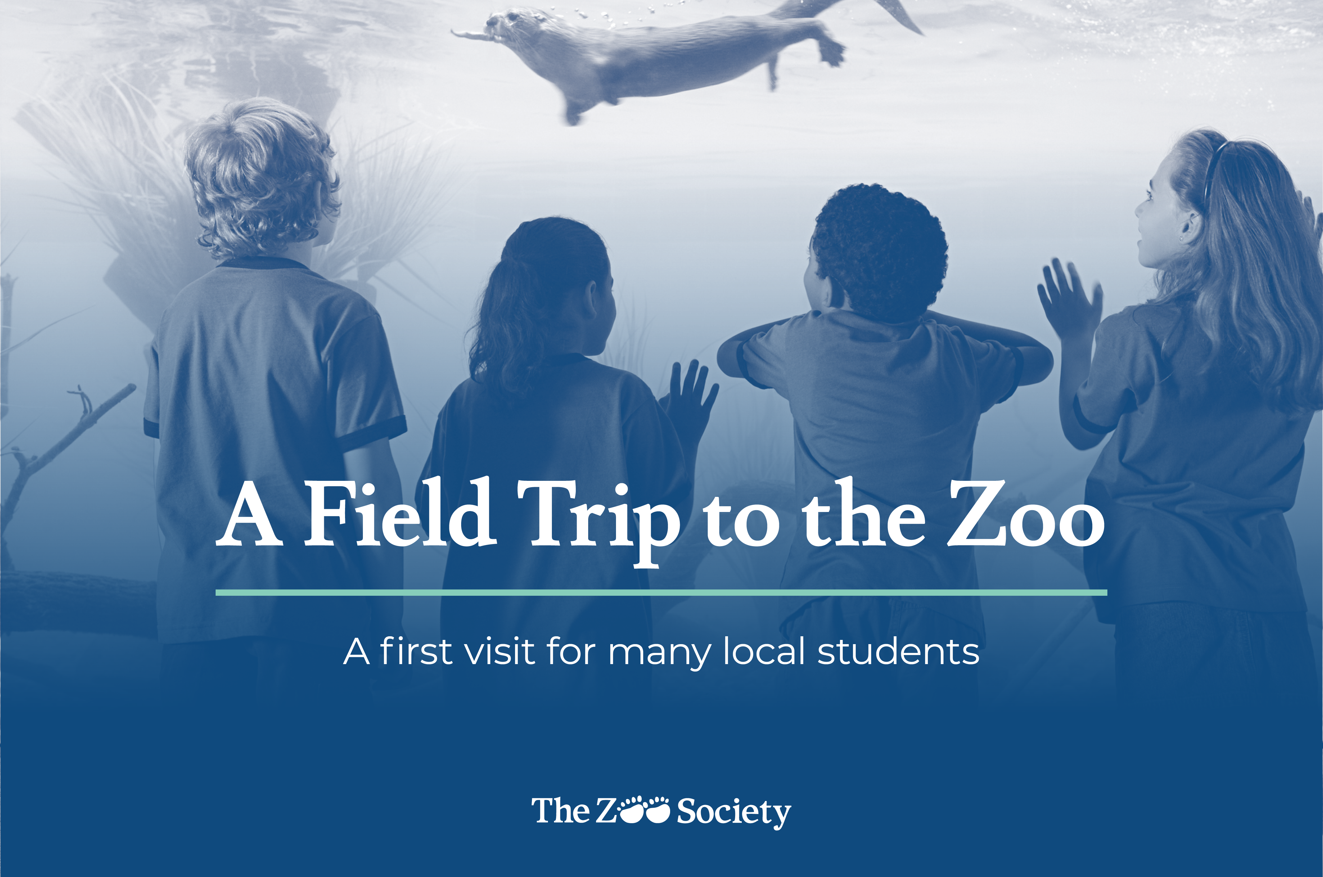 A Field Trip to the Zoo
