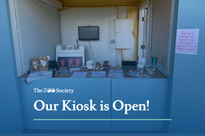 Our Kiosk is Open!