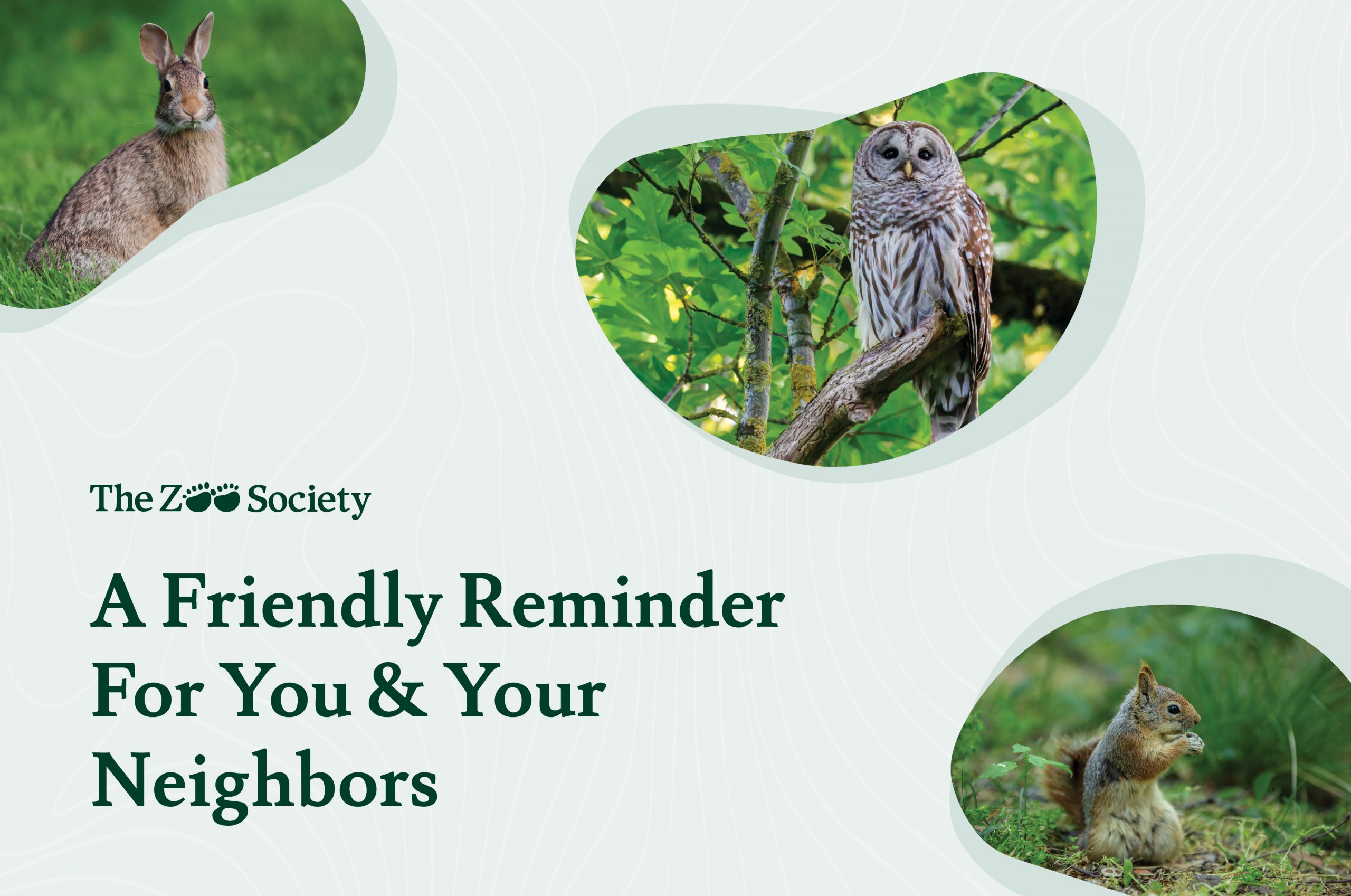 A Friendly Reminder for You and Your Neighbors