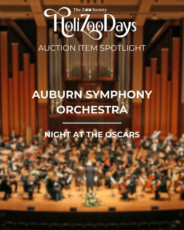Looking for a wonderful night listening to the greatest moments in cinema history? Then @auburnsymphonyo “Night at the Oscars” is the perfect item for you! ✨🎥🎻 

This event will take place on February 21, 2026 at the Federal Way Performing Arts & Events Center, where their orchestra will showcase unforgettable music that has defined Hollywood’s most iconic films. 

Get ready to bid on December 1st @ 8am. Be sure to head over to the LinkTree in our bio to register for our HoliZooDays Auction and to view the event page. Happy bidding! 

#pointdefiance #pointdefiancezoo #pointdefiancezooandaquarium #tacoma #auction #holizoodays2025 #nonprofit #orchestra