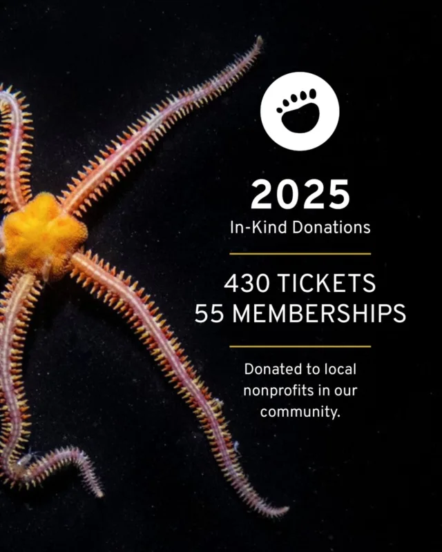 Every year, we receive a limited number of tickets and memberships to give back to our community. We get so many requests from amazing nonprofits, and it’s a tough job to narrow them down. 

We are so pleased to have donated 430 tickets and 55 memberships to help local nonprofits! These donations go straight back into our community, and it feels great we can give back. ✨ 

#pointdefiance #pointdefiancezoo #pointdefiancezooandaquarium #nonprofit #animals