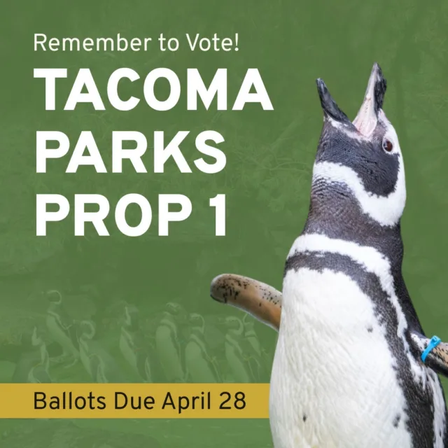 Parks Tacoma's 2026 bond proposal would allow us to build fresh spaces to serve animals and guests for years to come! 🐧

The bond would fund more than 100 projects in at least 40 parks, community centers, and at our zoo! These investment projects would not raise the current tax rate, and would help our community connect to the nature and wildlife around them. 

To learn more about this special election, visit the link in our bio. ✨

#parkstacoma #pointdefiancezoo #tacoma #pnw #parks