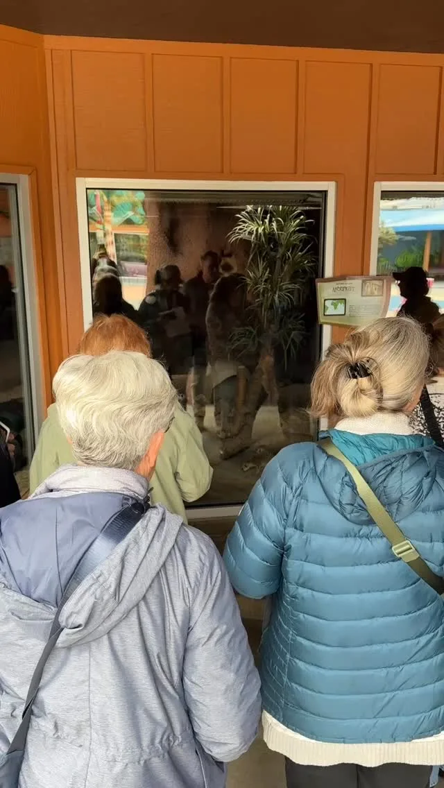 Our event, Up Close: Animal Welfare, was both fun and enlightening! 🐾

Guests got a look into zookeeper’s heads on how they determine and assess animal wellbeing. Afterwards, they were invited to observe animals and attempt an assessment on their own! 🔎

Thank you to everyone who attended and joined us for such a fun evening ✨ 

#pointdefiancezoo #pointdefiancezooandaquarium #pnw #zoolife #animalconservation